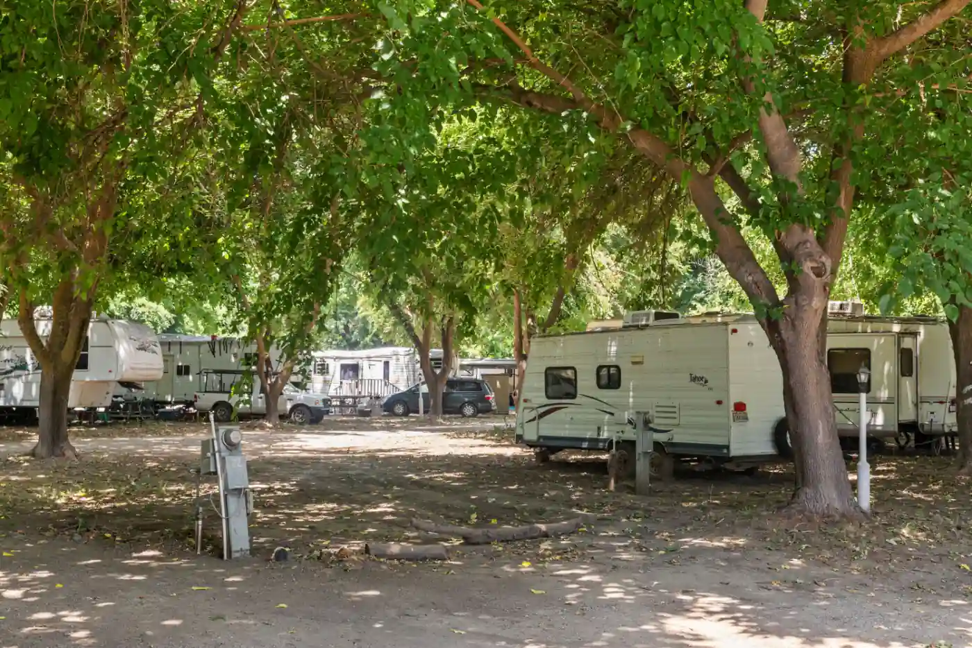 The Sacramento River at Hidden Harbor Marina & RV Park